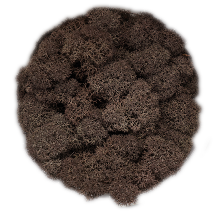 Скандинавски мъх BROWN, 0.5 kg
