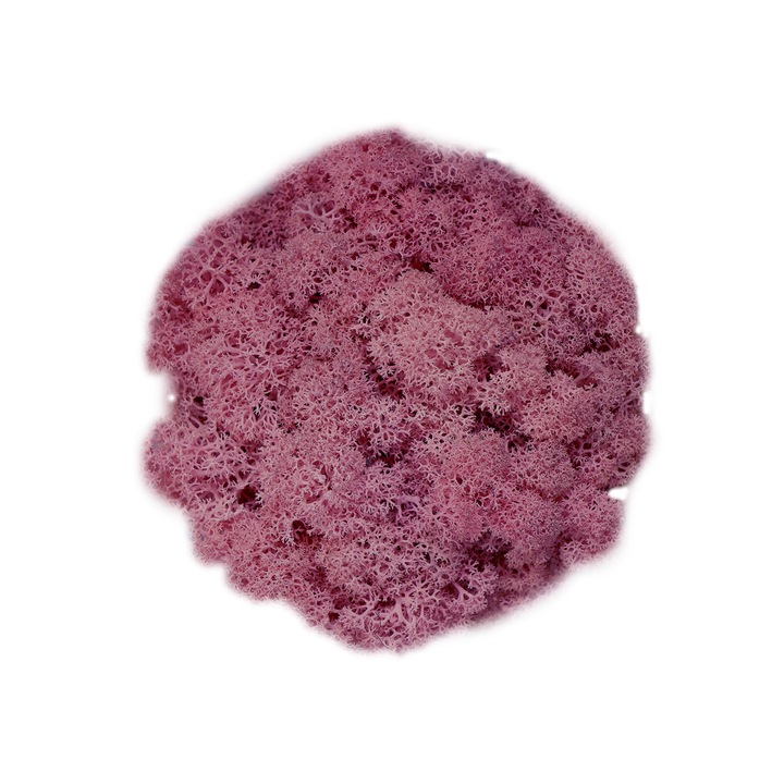 Скандинавски мъх BURGUNDY, 0.5 kg