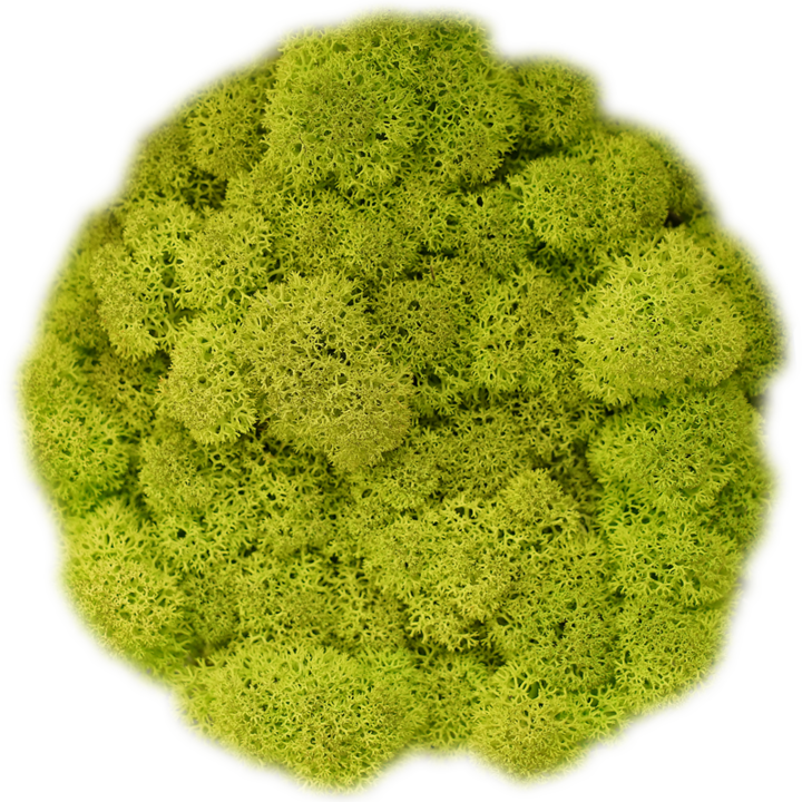 Скандинавски мъх SPRING GREEN, 0.5 kg