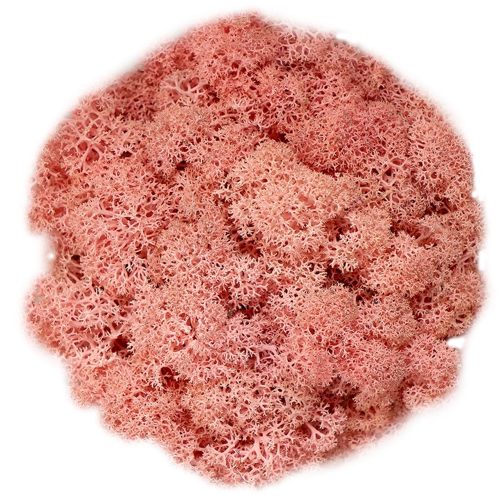 Скандинавски мъх PINK, 0.5 kg