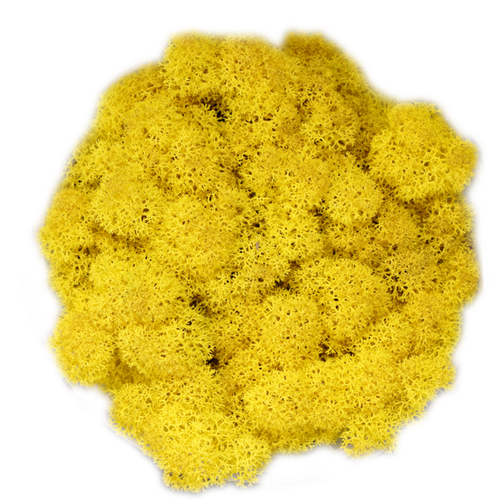 Скандинавски мъх LEMON, 0.5 kg