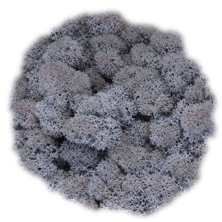 Скандинавски мъх ICE BLUE, 0.5 kg
