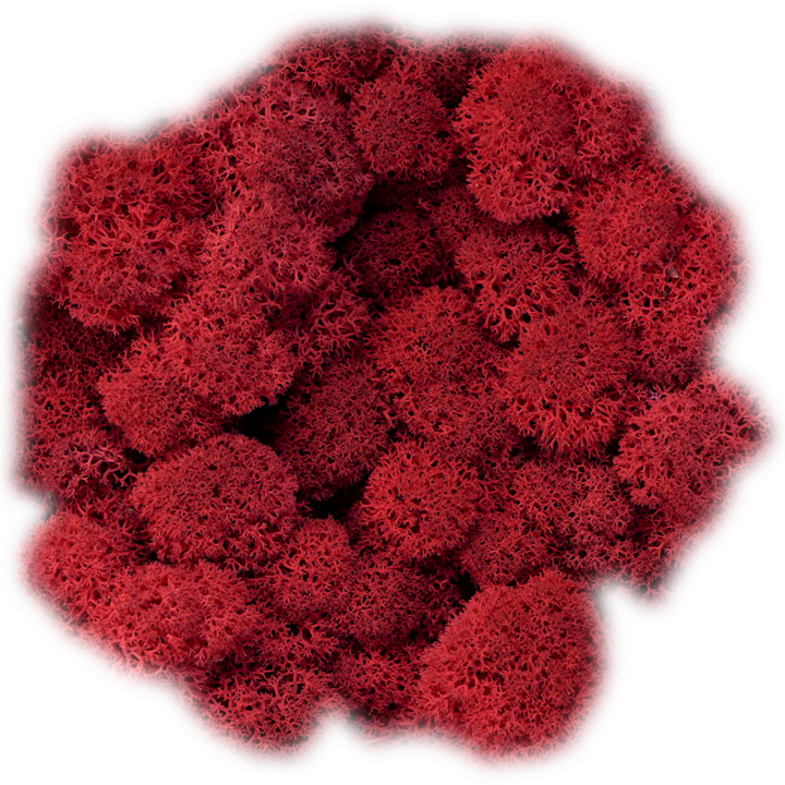 Скандинавски мъх Red, 0.5 kg
