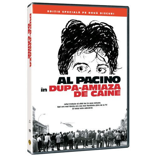 DOG DAY AFTERNOON [DVD] [1975]