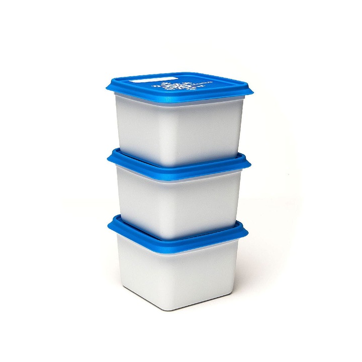 Set 3 recipiente cu capac pentru congelator, Amuse, Plastic, 750 ml