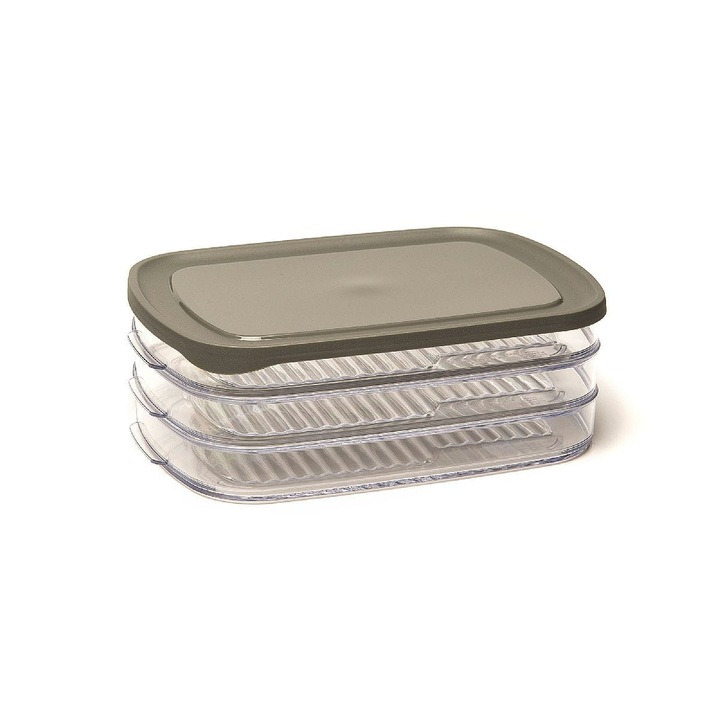 Caserola pentru mezeluri, Amuse, Plastic, 23.2x16.4x7.9 cm, Transparent