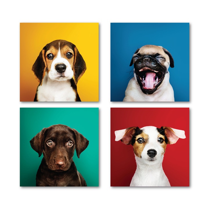 Tablou canvas, Puppies, 100x100cm, 4 piese