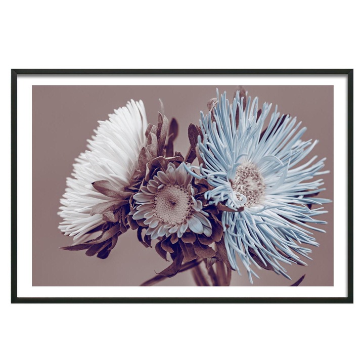 Tablou decorativ, Pe Perete, fara rama, Colectia Flori, multicolor, print pe hartie foto mata, 200g/mp, 50x70cm