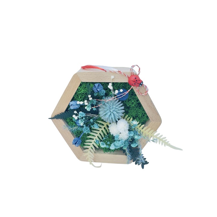 Aranjament floral hexagon cu licheni, plante uscate si plante criogenate (Albastru, verde) - Eventissimi