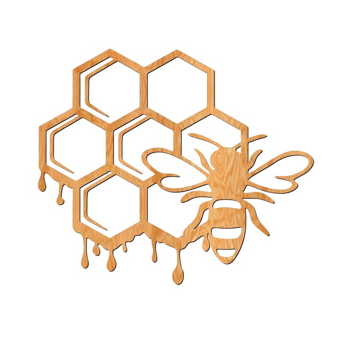 Декорация за стена, Lovie Пчелна пита, 60x50cm, Златен Дъб