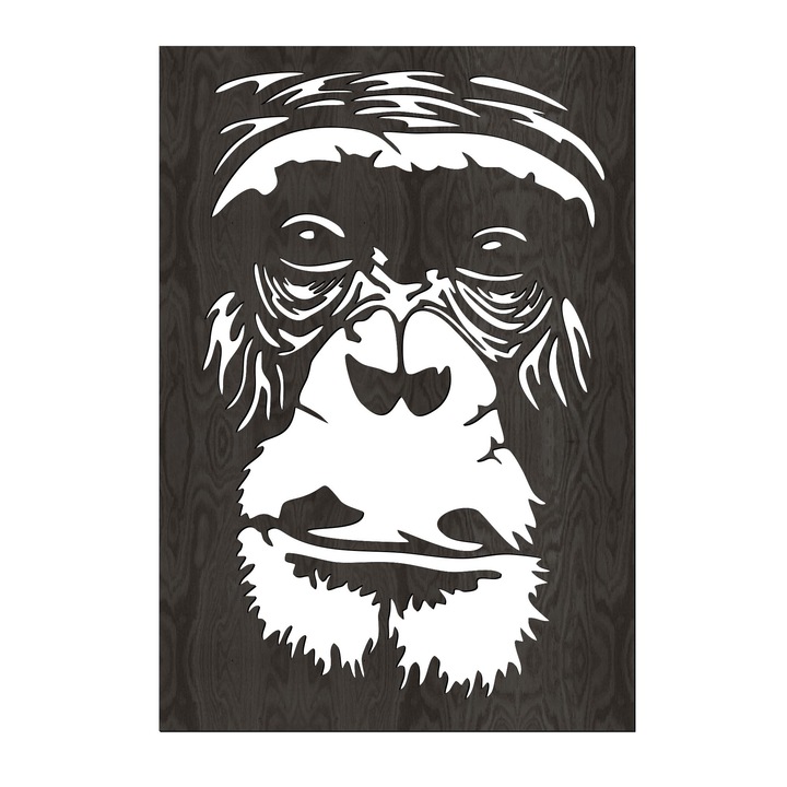 Decor de perete, Lovie, Cimpanzeu, 40x60cm, Negru