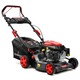 Masina De Tuns Gazon/Iarba Pe Benzina, Lehmann Festuca, Autopropulsata, 3,48CP, 146CC, 3000 RPM, 42cm Latime Lucru, cos 40L