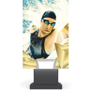 Cupe, trofee si medalii