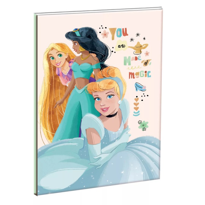Тетрадка Disney Princesses B/5 с линии 40стр