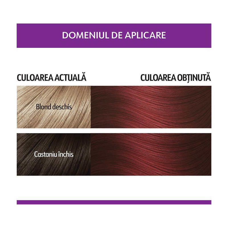 Set 3 x Vopsea de Par Semi-Permanenta fara Amoniac Loncolor Trendy