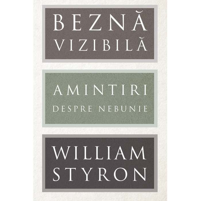 Bezna Vizibila - William Styron