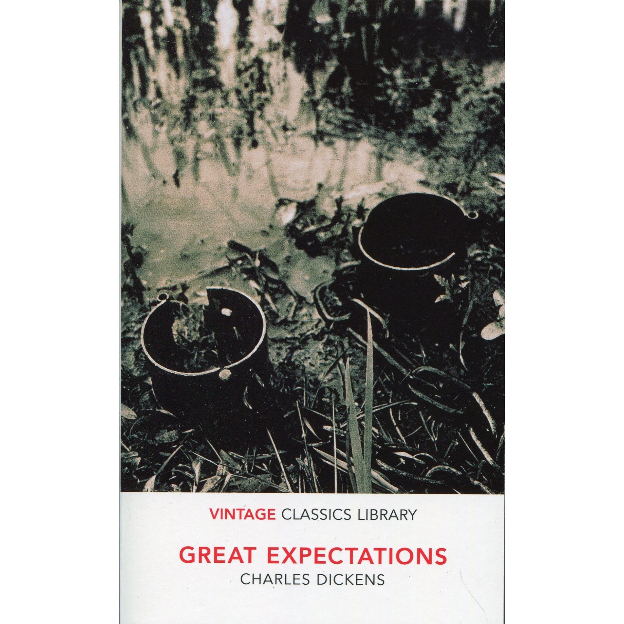 Great Expectations - Charles Dickens