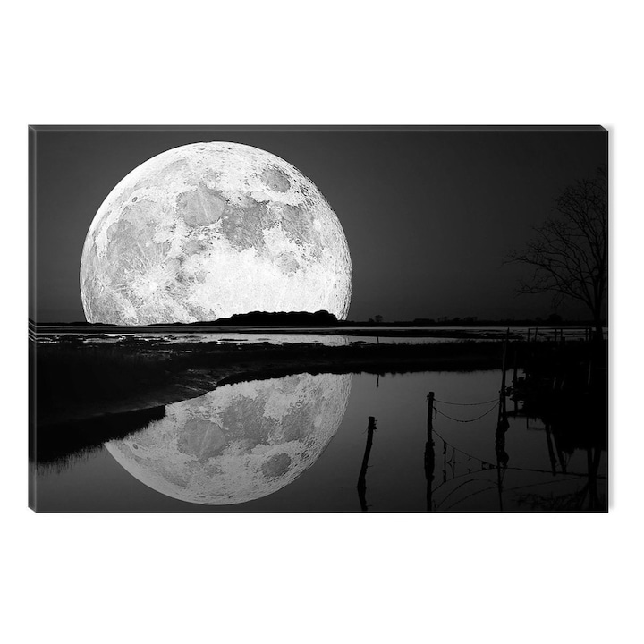Fekete-fehér festmény Absztrakt Startonight, Hold tükörképe, sötétben világító, 80 x 120 cm