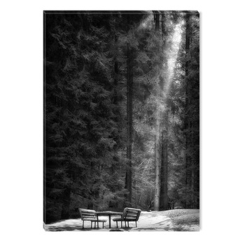 Tablou Alb-Negru Abstract Startonight, Cineva vegheaza, luminos in intuneric, 80 x 120 cm Tablou Alb-Negru Abstract Startonight, Cineva vegheaza, luminos in intuneric, 80 x 120 cm