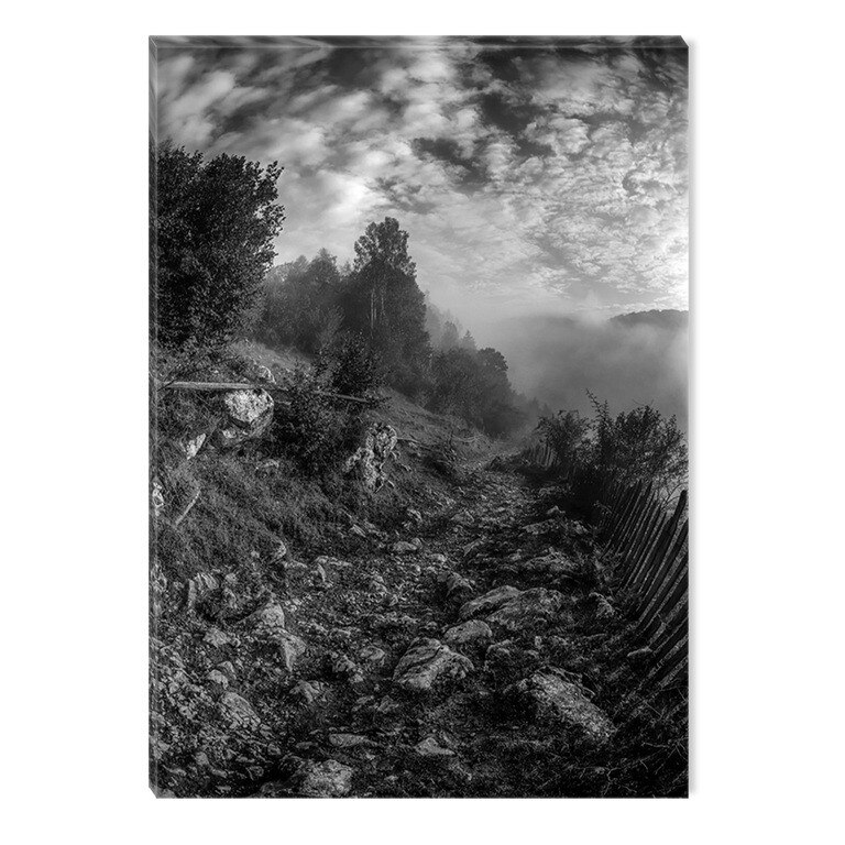 Tablou Alb-Negru Abstract Startonight, Drum de tara, luminos in intuneric, 80 x 120 cm