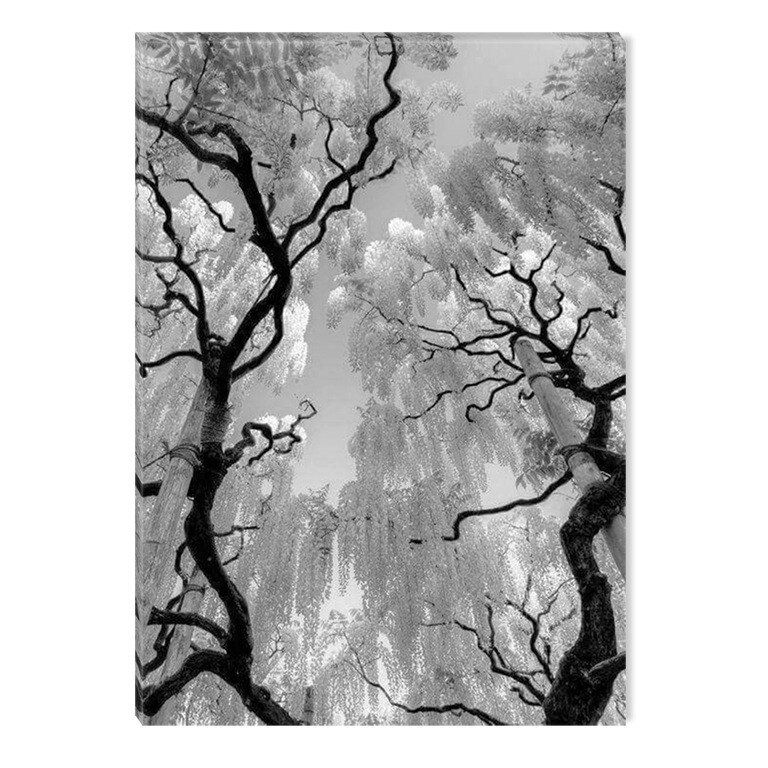 Tablou Alb-Negru Abstract Startonight, Copaci, luminos in intuneric, 60 x 90 cm