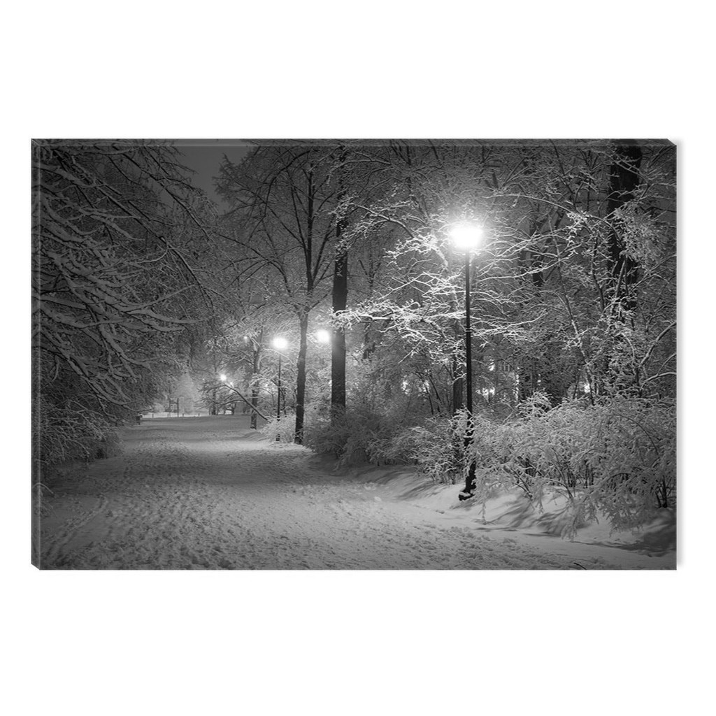 Tablou Alb-Negru Abstract Startonight, Iarna in parc, luminos in intuneric, 60 x 90 cm