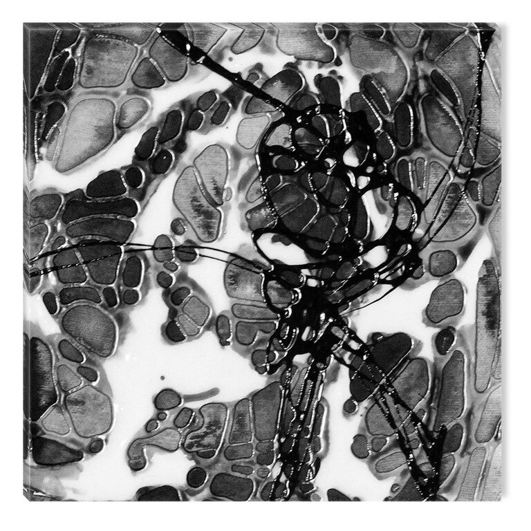 Tablou Alb-Negru Abstract Startonight, Piatra, luminos in intuneric, 80 x 80 cm