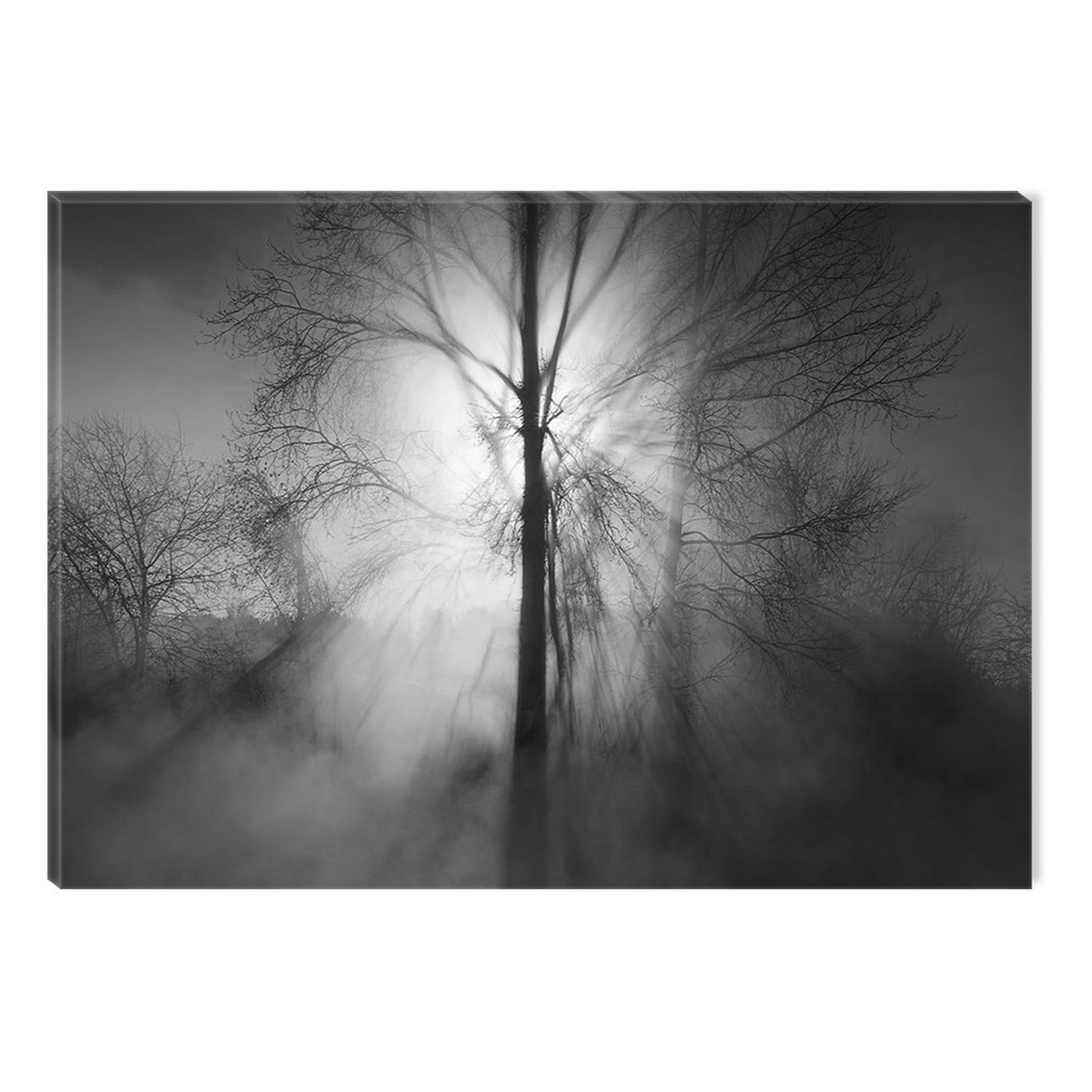 Tablou Alb-Negru Abstract Startonight, Puterea luminii, luminos in intuneric, 80 x 120 cm