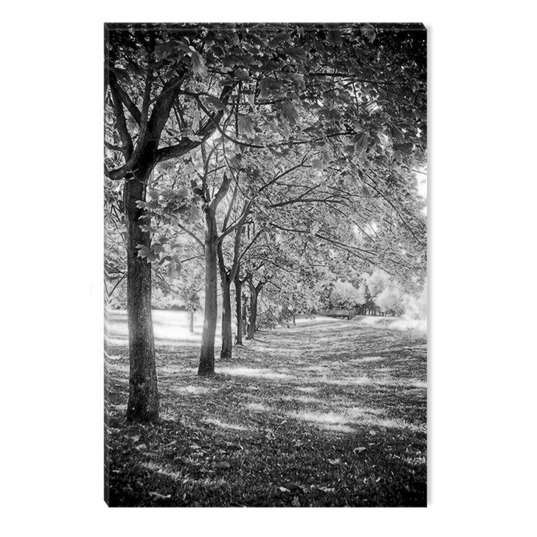 Tablou Alb-Negru Abstract Startonight, Rand de copaci, luminos in intuneric, 60 x 90 cm