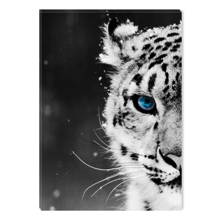 Tablou Alb-Negru Abstract Startonight, Ochi de leopard, luminos in intuneric, 80 x 120 cm