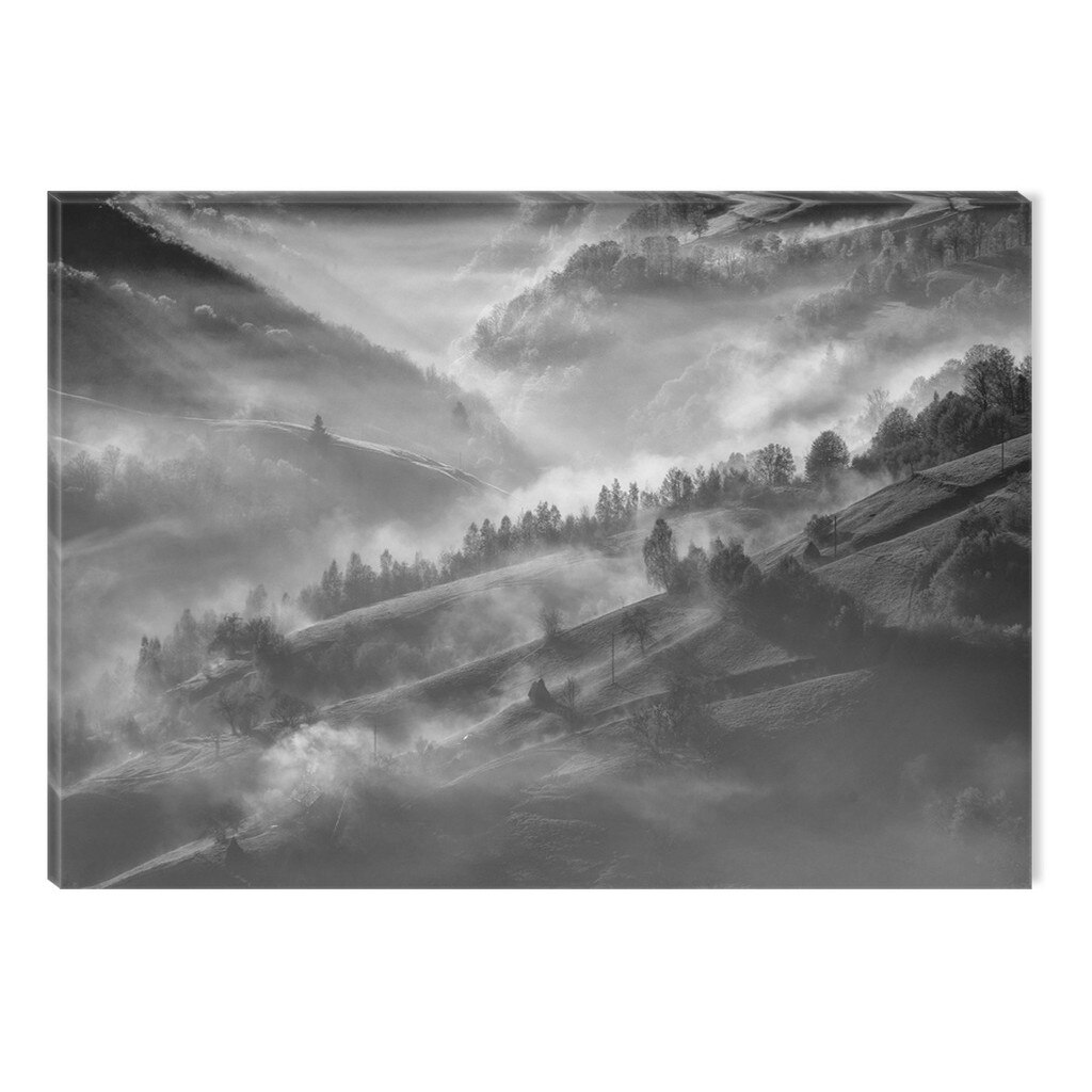 Tablou Alb-Negru Abstract Startonight, Copaci prin ceata, luminos in intuneric, 60 x 90 cm