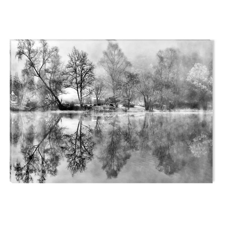 Tablou Alb-Negru Abstract Startonight, Copaci prin ceata, luminos in intuneric, 60 x 90 cm