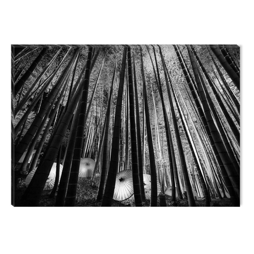 Tablou Alb-Negru Abstract Startonight, Padure inalta, luminos in intuneric, 80 x 120 cm