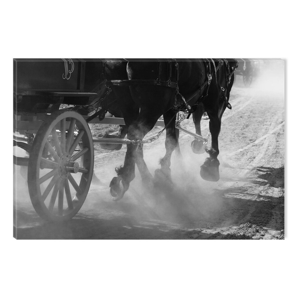 Tablou Alb-Negru Abstract Startonight, Caii de la trasura, luminos in intuneric, 80 x 120 cm