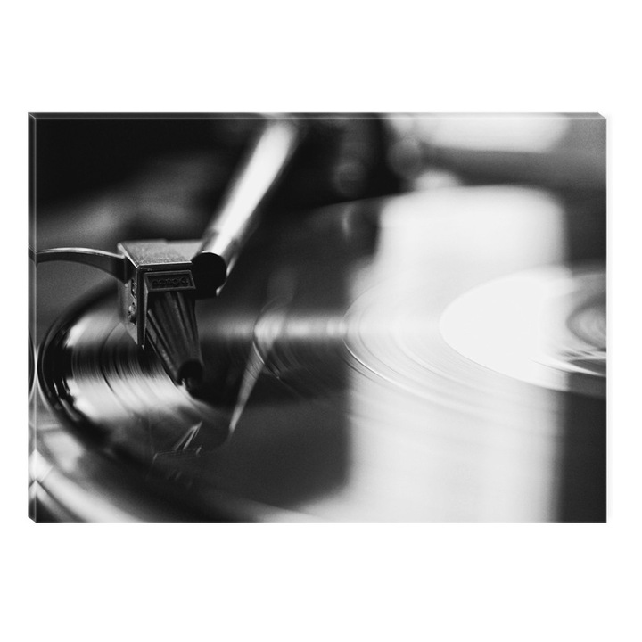 Tablou Alb-Negru Abstract Startonight, Disc vinyl, luminos in intuneric, 80 x 120 cm