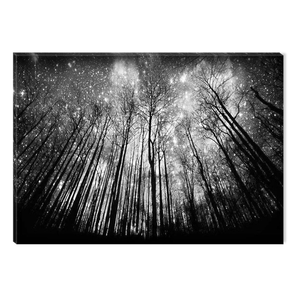 Tablou Alb-Negru Abstract Startonight, Noapte instelata, luminos in intuneric, 80 x 120 cm
