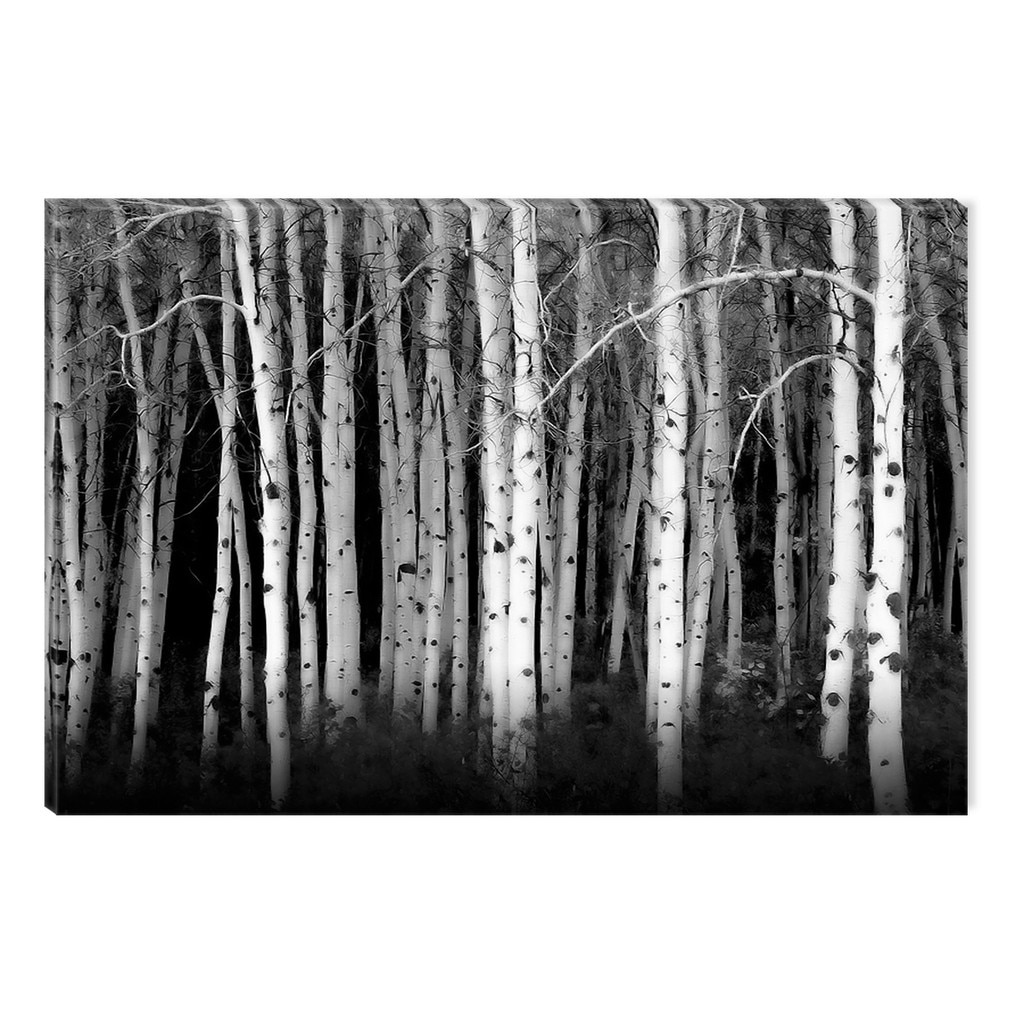 Tablou Alb-Negru Abstract Startonight, Mesteceni, luminos in intuneric, 80 x 120 cm