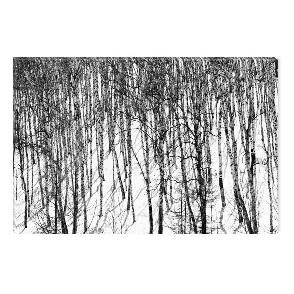 Tablou Alb-Negru Abstract Startonight, Copaci iarna, luminos in intuneric, 80 x 120 cm