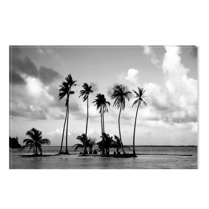 Tablou Alb-Negru Abstract Startonight, Palmieri, luminos in intuneric, 60 x 90 cm