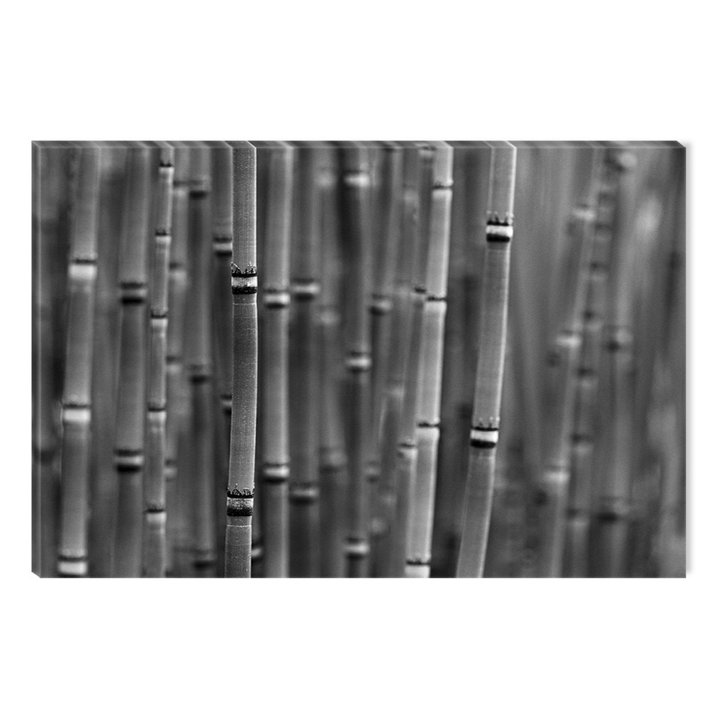 Tablou Alb-Negru Abstract Startonight, Bambus, luminos in intuneric, 80 x 120 cm