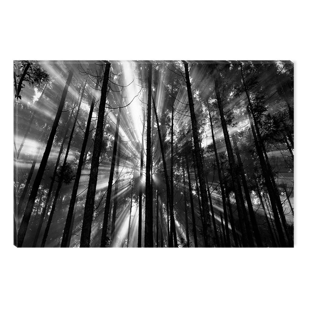 Tablou Alb-Negru Abstract Startonight, Lumina si intuneric, luminos in intuneric, 80 x 120 cm