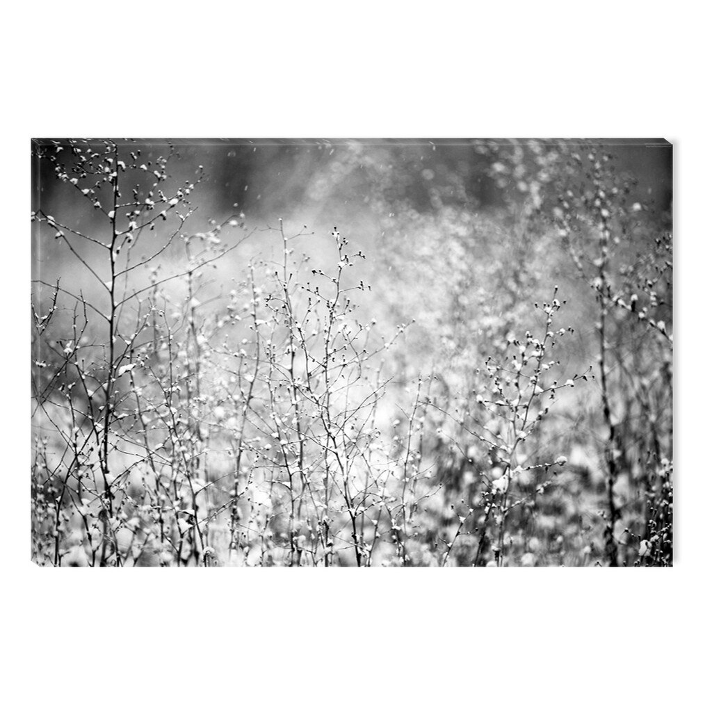 Tablou Alb-Negru Abstract Startonight, Natura matinala, luminos in intuneric, 80 x 120 cm