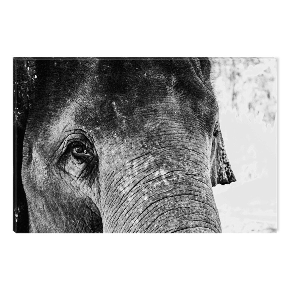 Tablou Alb-Negru Abstract Startonight, Un elefant, luminos in intuneric, 80 x 120 cm