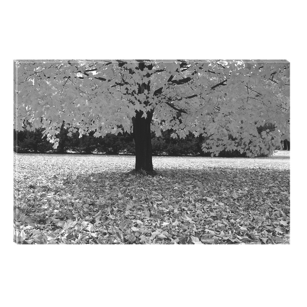 Tablou Alb-Negru Abstract Startonight, Copacul rege, luminos in intuneric, 80 x 120 cm