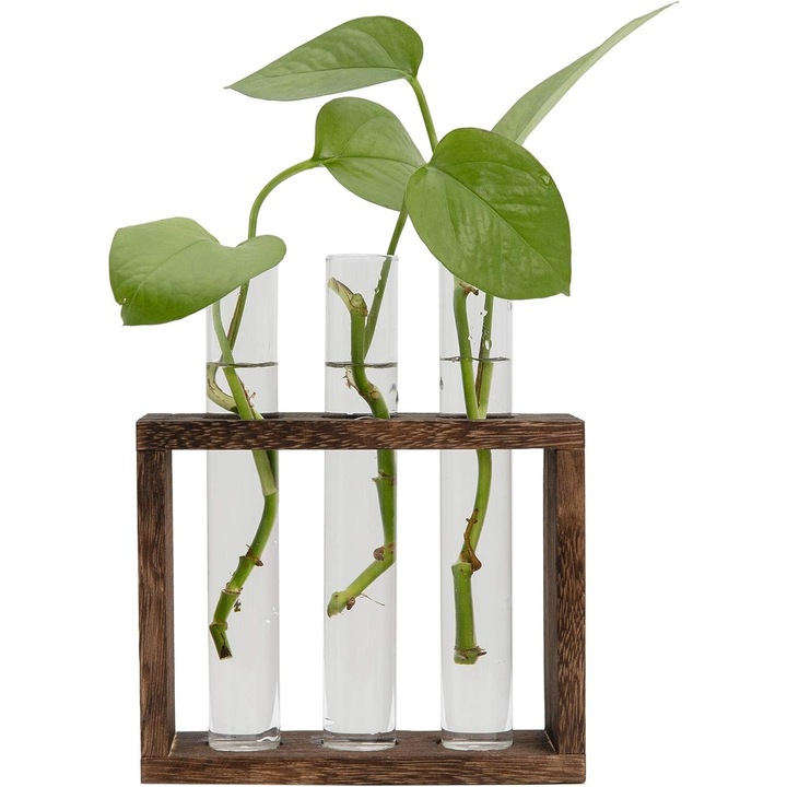 Vaza cu eprubete in suport, Lemn/Sticla, 15.2x13x5.1 cm, Maro/Transparent