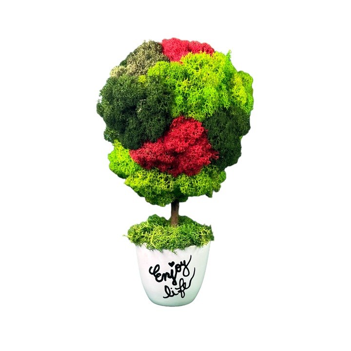 Copacel Enjoy life licheni stabilizati 19cm