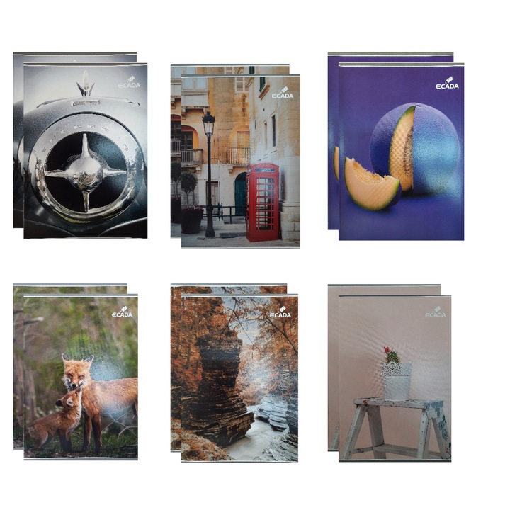 Set 12 caiete Dictando (romana ), A5, file, ECADA + 10 Cartonase pentru notite FLR