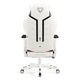 Гейминг стол, Diablo Chairs, X-Ray, Нормален размер, 125-130 см, Черен/Бял