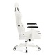 Гейминг стол, Diablo Chairs, X-Ray, Нормален размер, 125-130 см, Черен/Бял