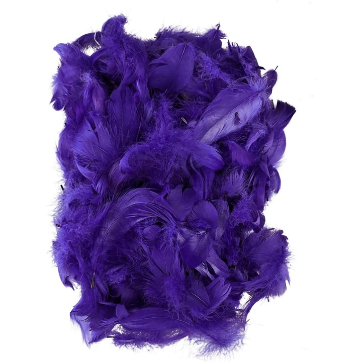 Pene decorative, Netuno, 10g, Violet inchis